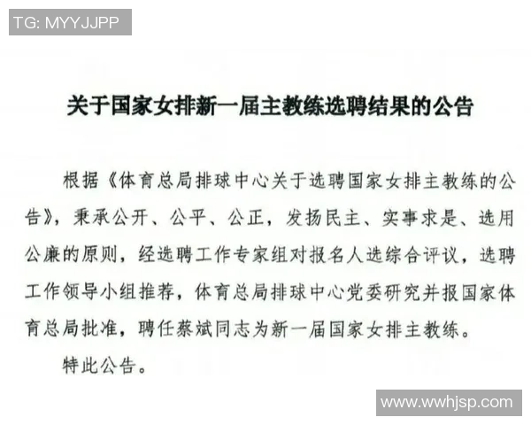 广州排球队精英赛表现分析：团队配合与战术执行的完美结合